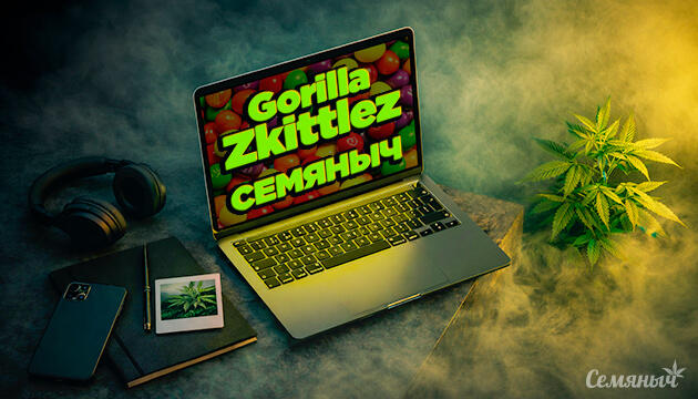 Гроурепорт Gorilla Zkittlez fem от сидбанка Семяныч